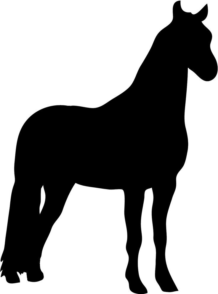 Konj - šablona za risanje