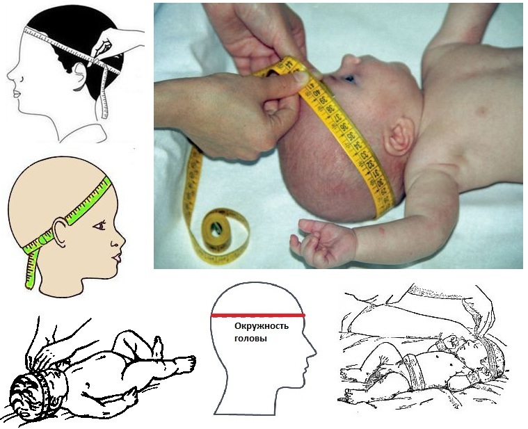 Окружность головы при рождении. Окружность головы новорожденного. Обхват головы новорожденного. Измерение окружности головы у детей. Окружность головки новорожденного.