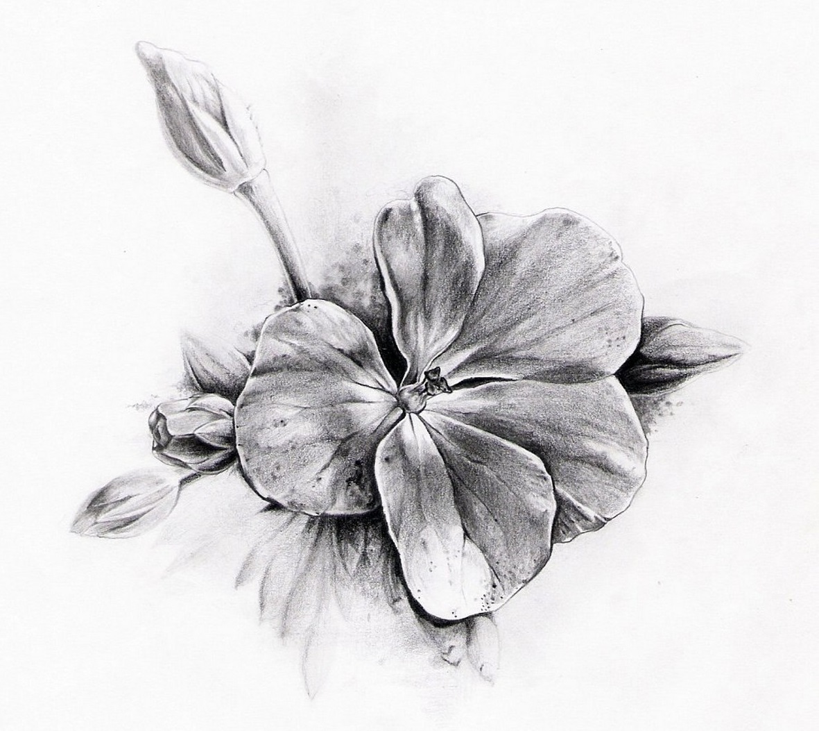 Sketsa tato kecil dalam bentuk bunga
