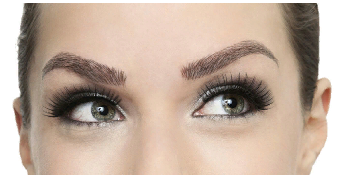 Microc quel sourcils