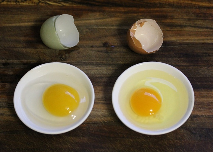 The color of the yolk depends on the food!