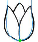 Le troisième pétale est un triangle