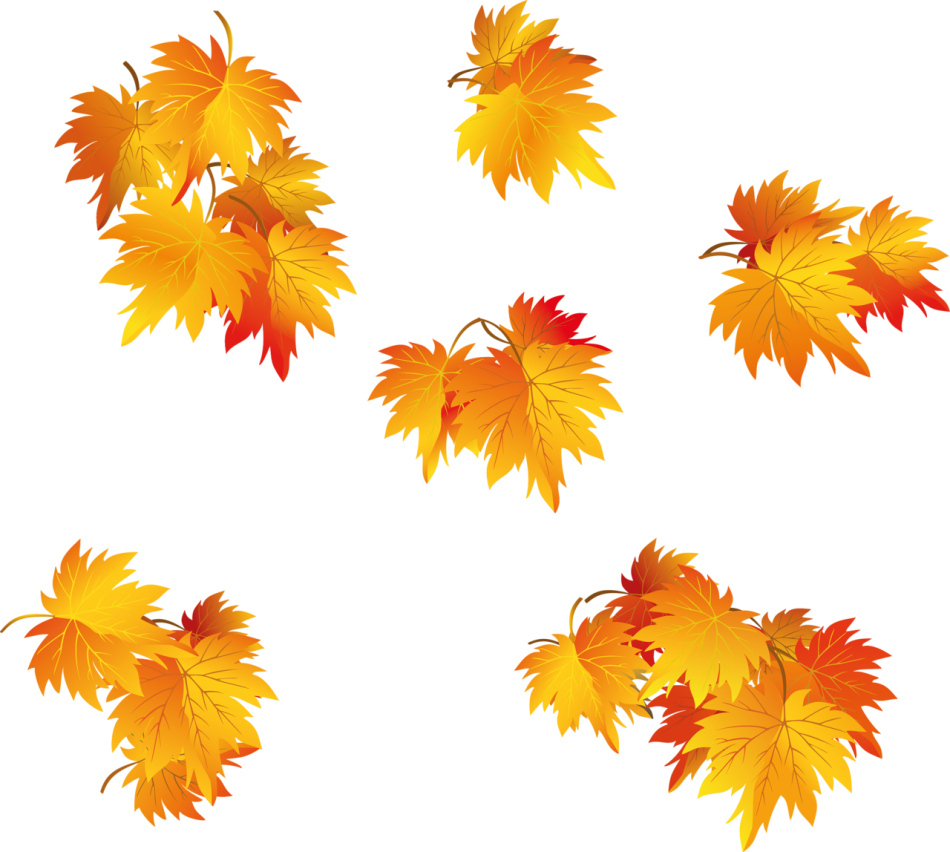 Осенние png. Осенние листья. Осенние листья на прозрачном фоне. Осенние листья клипарт. Осень клипарт.