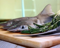Kako narediti zrezek iz mesa morskega psa doma: 2 najboljši recept v ponvi in \u200b\u200bpečici