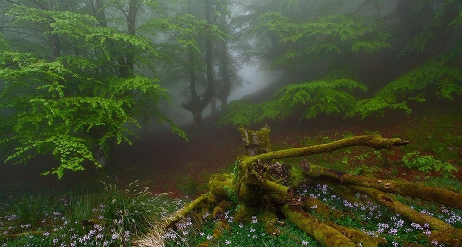 Gorbea természetes tartalék, baszk ország