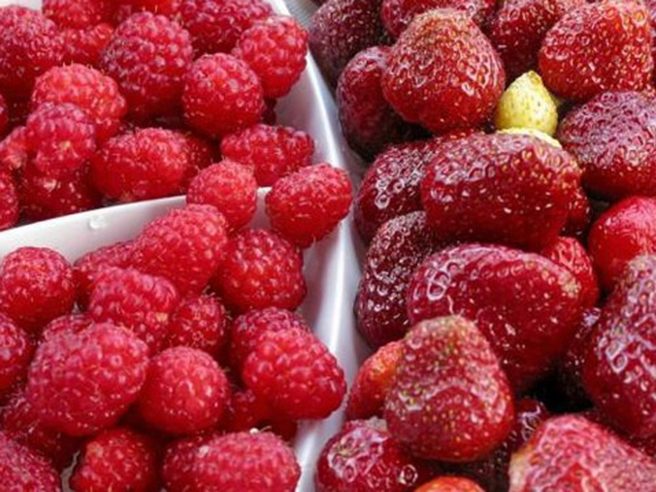 Les framboises et les fraises sont sélectionnées pour la disposition de Jema