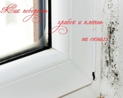 Mold, fungus on wooden, plastic windows, slopes: reasons, how to remove and prevent?
