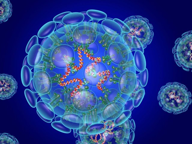 Coronavirus terakhir (Covid-19): Apa itu, di mana semuanya dimulai, pencegahan, perawatan, ramalan, berita terbaru. Apakah mungkin untuk terinfeksi coronavirus dari seseorang yang tidak memiliki gejala?