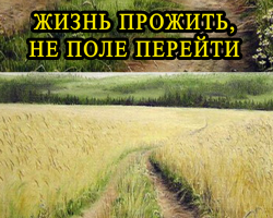 „Животът да живееш не е да се пресече полето“: Окончателното есе за литературата, изграждането на работа за ученици от гимназията, средното и началното училище