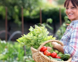 10 полезных советов огородников и садоводов для лучшего урожая