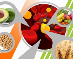 Bon et mauvais cholestérol dans les produits ou produits qui réduisent et augmentent le cholestérol: liste, tableau. Top 10 des produits qui augmentent considérablement le cholestérol