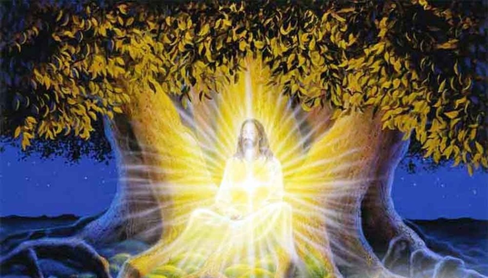 Святой человек заряжается энергией под деревом