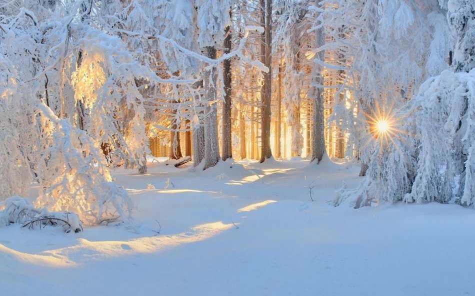 Invierno de la nieve según los signos populares