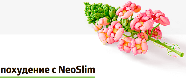 Il n'y a que des ingrédients naturels dans le médicament neCum