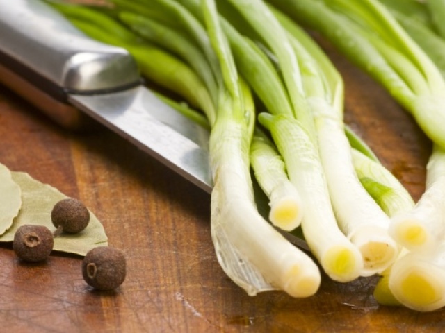 Green onions for the winter: Methods. How to dry, freeze, salt and pickle green onions for the winter?