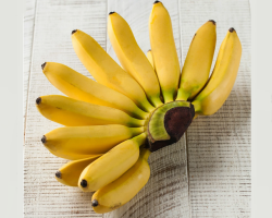 Kakšna je razlika med mini bananami iz navadnih banan: kot pravijo, koristne lastnosti, škode in kontraindikacije
