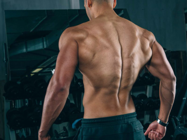 Тренировка спины в тренажерном зале для мужчин: программа упражнений