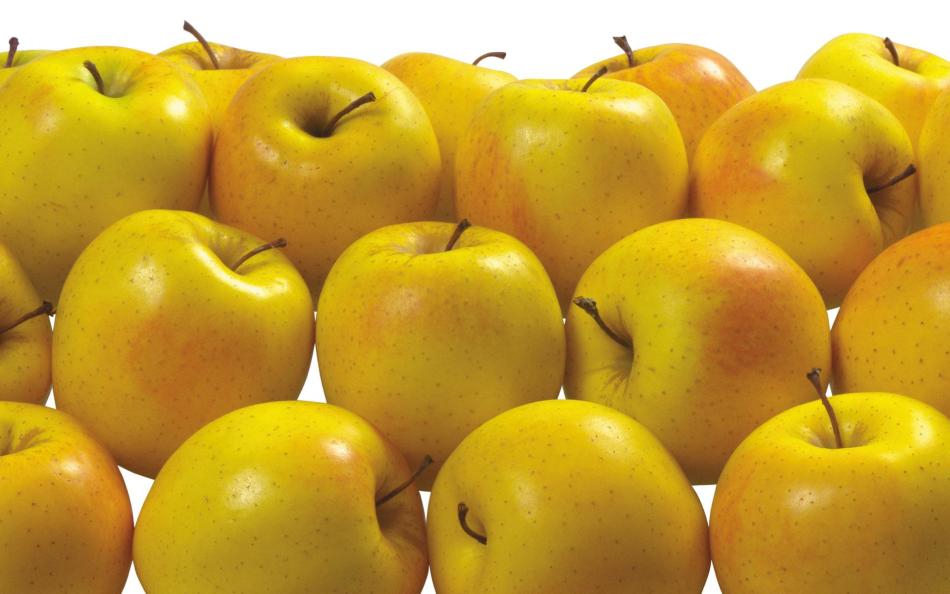 What are the yellow apples?