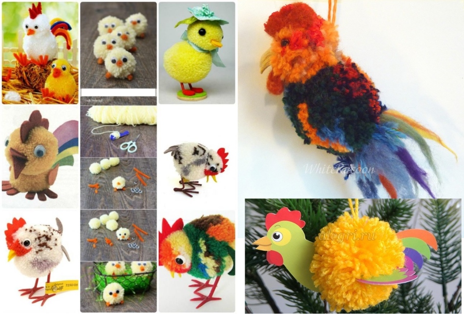 Different types of roosters from pompons