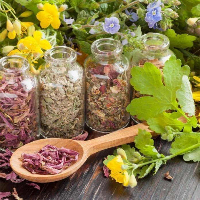 Herbs from worms for children