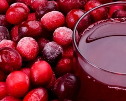 Forses dari Lingonberry - Cara memasak: Resep terbaik. Bagaimana cara membuat minuman buah dari lingonberry yang segar dan beku, dari lingonberry dan cranberry, untuk musim dingin?
