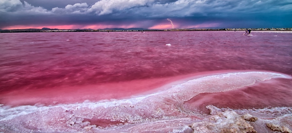 Park of Salt Lagoon La-Mata, Torrevieha, Spanyol