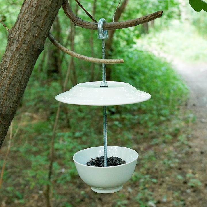 This is how the feeder from the old dishes will look on the tree in the tree