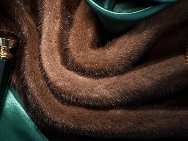 Scandinavian mink: how to distinguish from other types of mink? How to find out - is Scandinavian mink: distinctive features. How to distinguish the Scandinavian mink from Chinese fur, fakes: tips