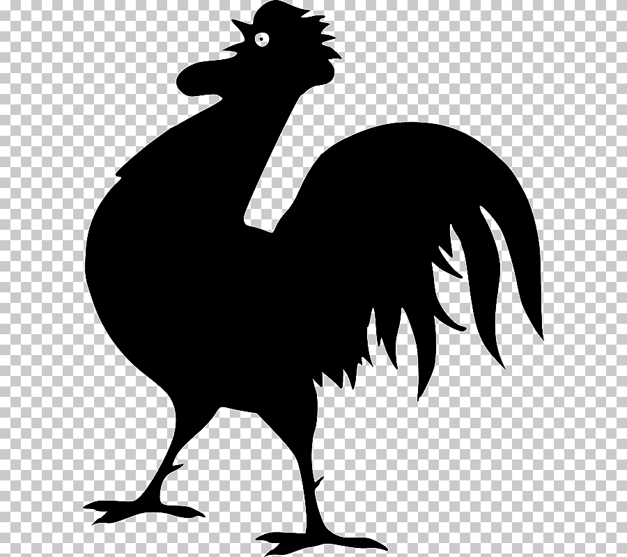 Stencil of a rooster for drawing - template, photo
