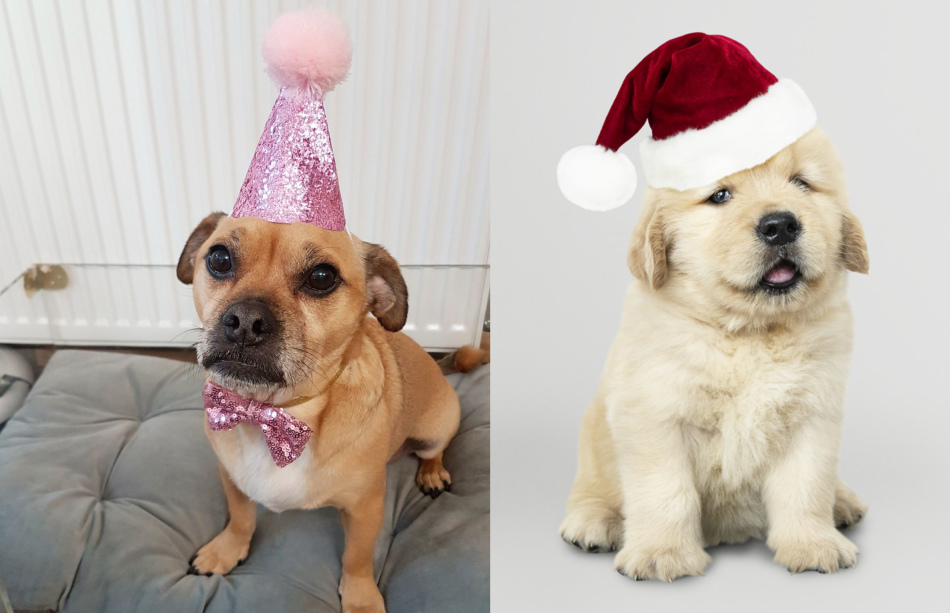 Новогодняя шапочка для собаки в виде конуса