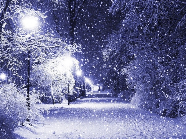 Сочинения о зиме: зимние праздники, зимние развлечения, зимний лес — сочинения о волшебном зимнем периоде