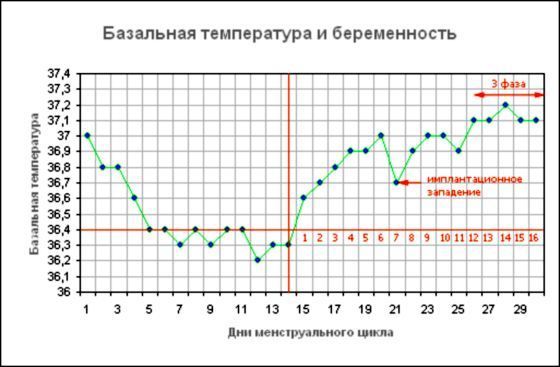 Basal temperature schedule during pregnancy