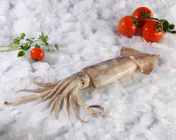 How to easily and quickly clean frozen and boiled squids from the film and how much to cook them after boiling for salad? How to defrost and correctly and quickly clean the carcass and tentacles of squid and boil?