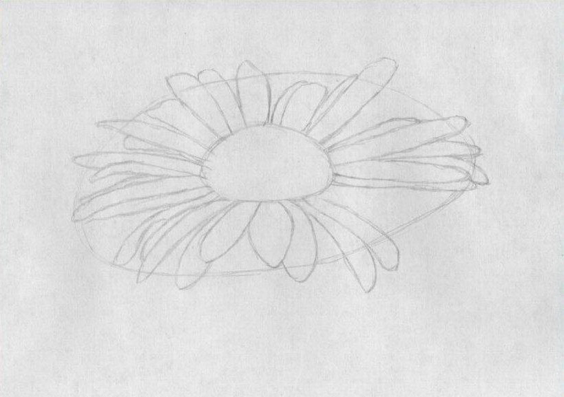 We draw the petals