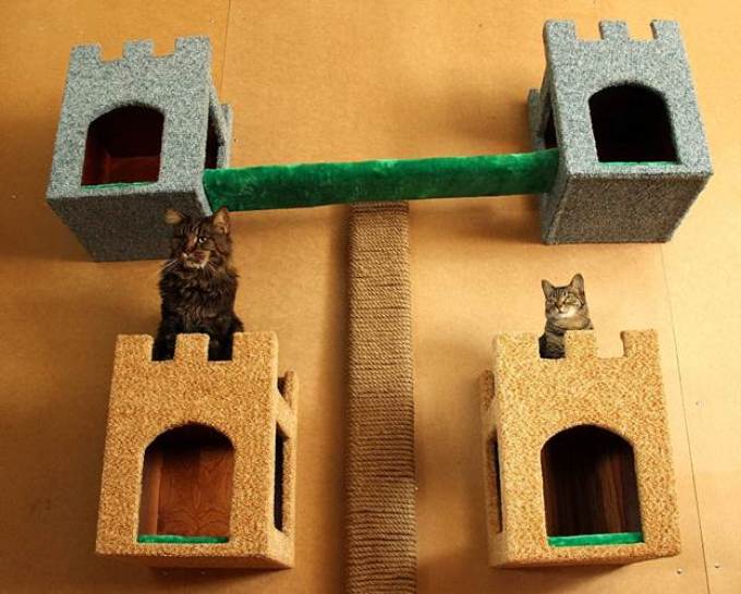 Домик для кошки своими руками (70 фото) - простая пошаговая инструкция