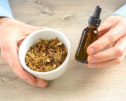 Propolis - properties: benefits and harm, reviews. Is it possible to use propolis in its pure form?