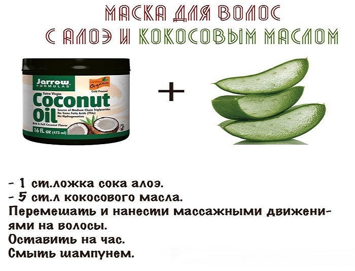 Маска для волос с алоэ и кокосовым маслом: рецепт