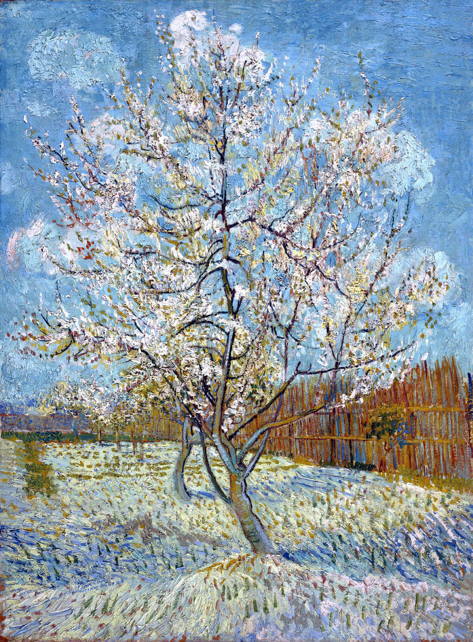 Vincent Van Gogh - Pohon Persia berwarna