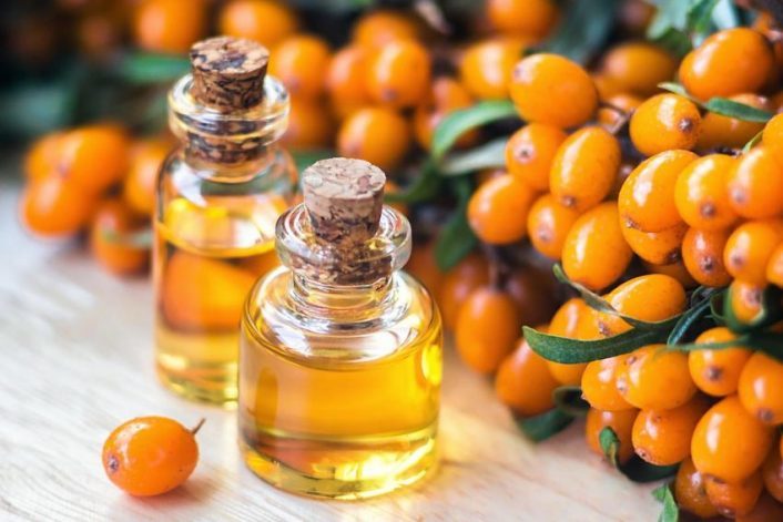 Sea buckthorn oil for cataract