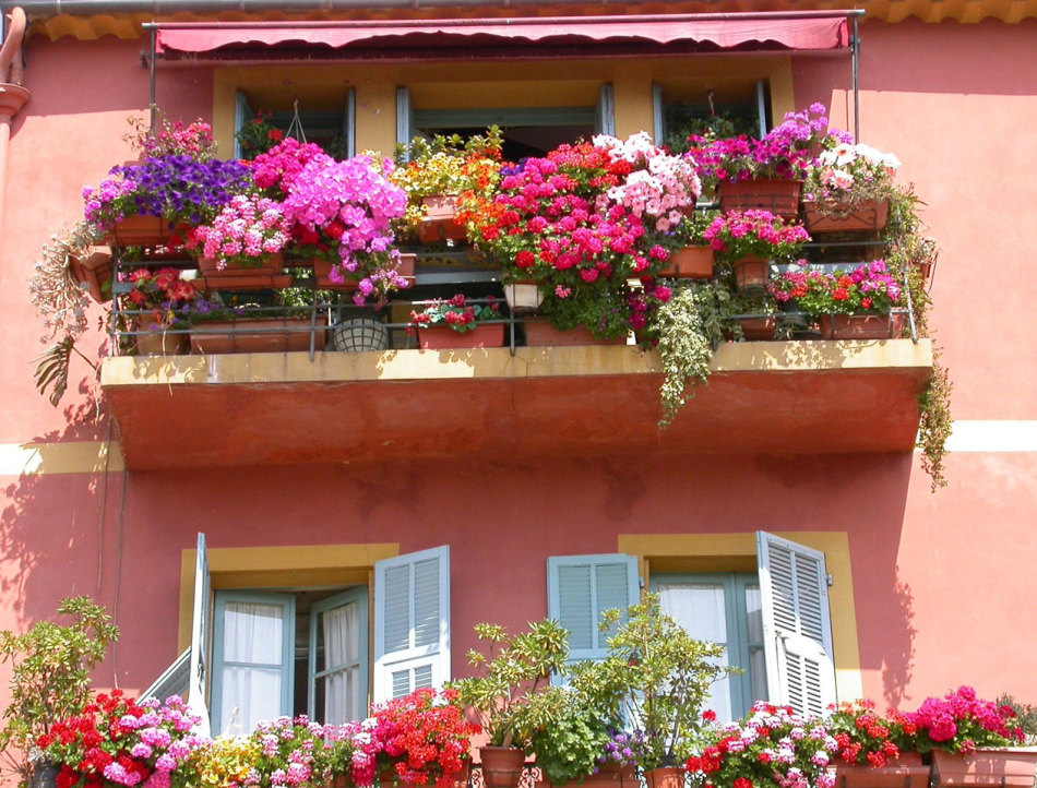 Цветы на открытом балконе