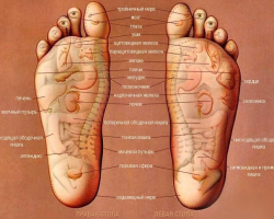 Toes: the value for which organ is responsible, the correspondence of the toes to the internal organs, the diagnosis of health on the fingers