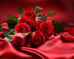 Álom értelmezése - hogy a rózsákat egy álomban láthassa. Miért vannak a rózsák vörös, fehér, sárga, rózsaszín, fekete, élő, nagy, eltérő, nő, ember, adj: alvás értelmezése