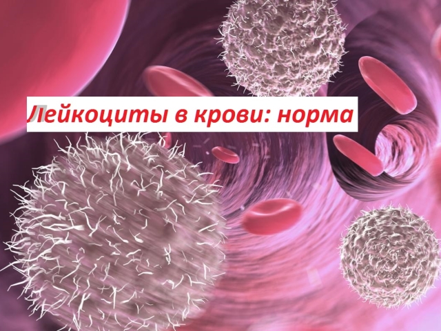 La norme des leucocytes dans l'analyse du sang, de l'urine chez les femmes, les hommes, les enfants: décryptage de l'analyse