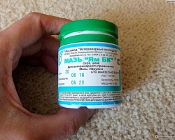 Ointment of the pits of BC for cats and dogs, animals: what helps, instructions for use, reviews