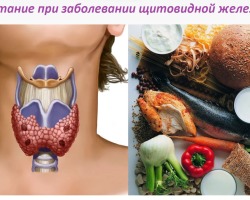 Σωστή διατροφή για ασθένειες του θυρεοειδούς: Κατάλογος επιτρεπόμενων και απαγορευμένων προϊόντων