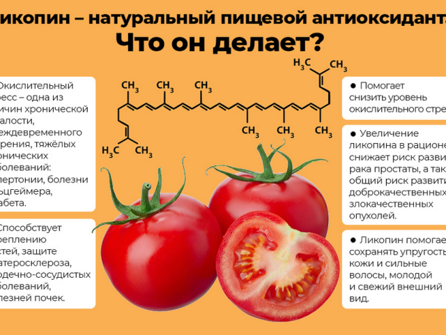 Likopin is the secret of the beneficial properties of tomatoes: what is it, what is the body for?