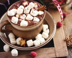 Cocoa with marshmallows marshmallows at home: a delicious recipe with chocolate, cinnamon, whipped cream, Nutella. How to cook cocoa with cocoa with marshmalloo: Best recipe