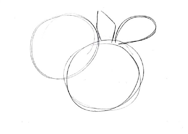Как нарисовать букет хризантем: создание наброска