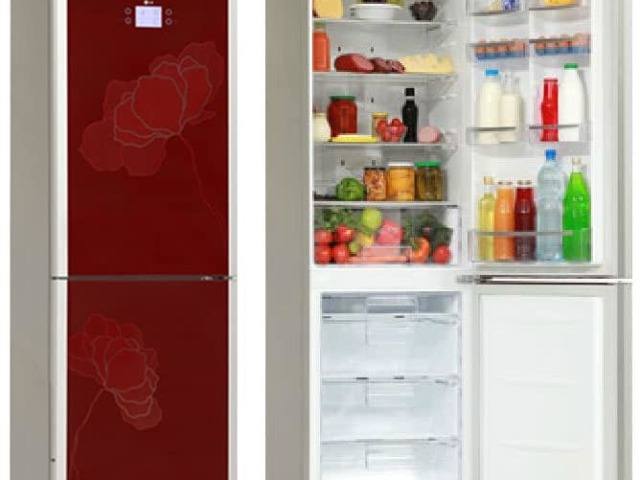 Какой холодильник лучше купить для дома: совет мастера