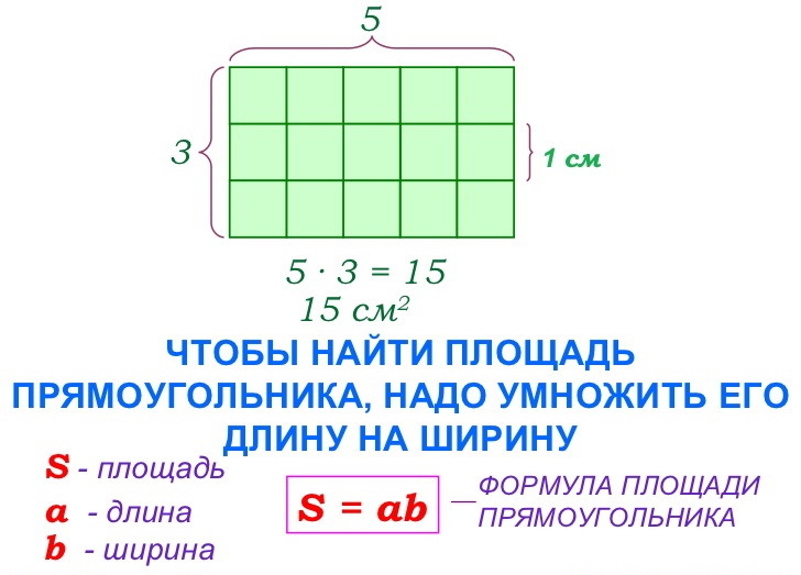 Прямоугольник. как рассчитать площадь?